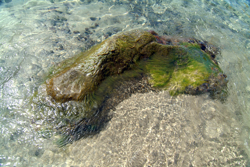 Melanie Heinrich - Travel St. Lucia